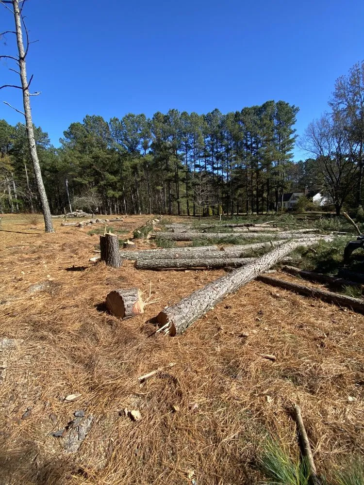 Professional garden landscaping for beautiful yards in Benson, NC by Collins Landscaping Co.