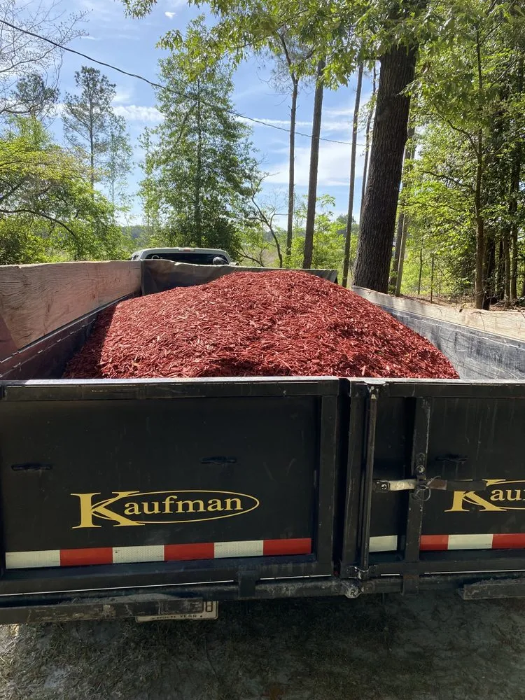 Professional lawn care service experts serving Benson, NC - Collins Landscaping Co.