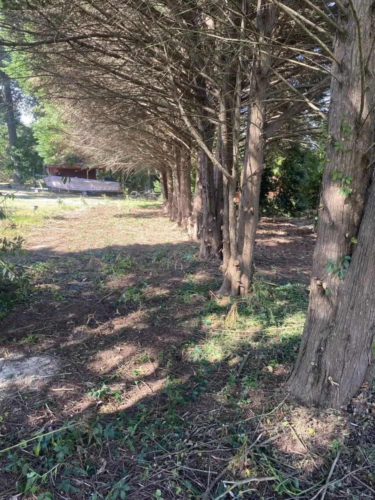 Reliable yard maintenance experts serving Benson, NC - Collins Landscaping Co.