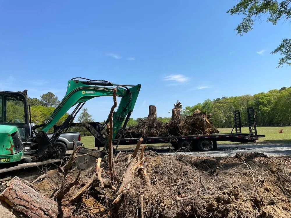 Top-rated lawn mowing service for year-round maintenance in Benson, NC by Collins Landscaping Co.