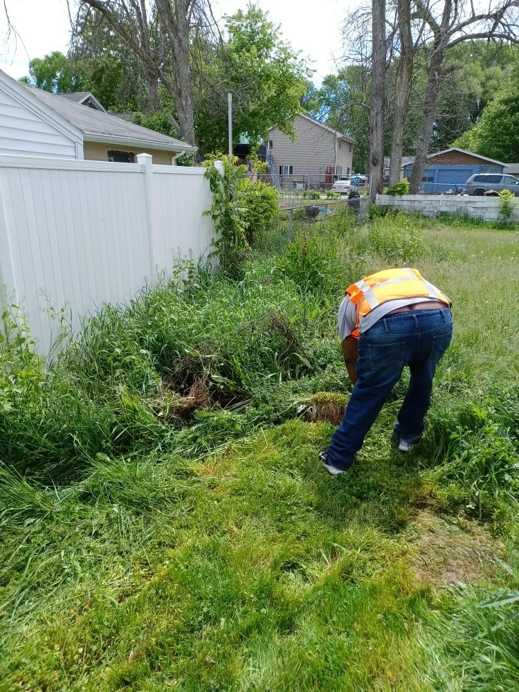 Affordable yard maintenance for beautiful yards in Green Bay, WI by Collins Landscaping