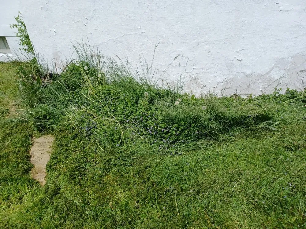 Professional garden landscaping for outdoor upgrades across Green Bay, WI - Collins Landscaping