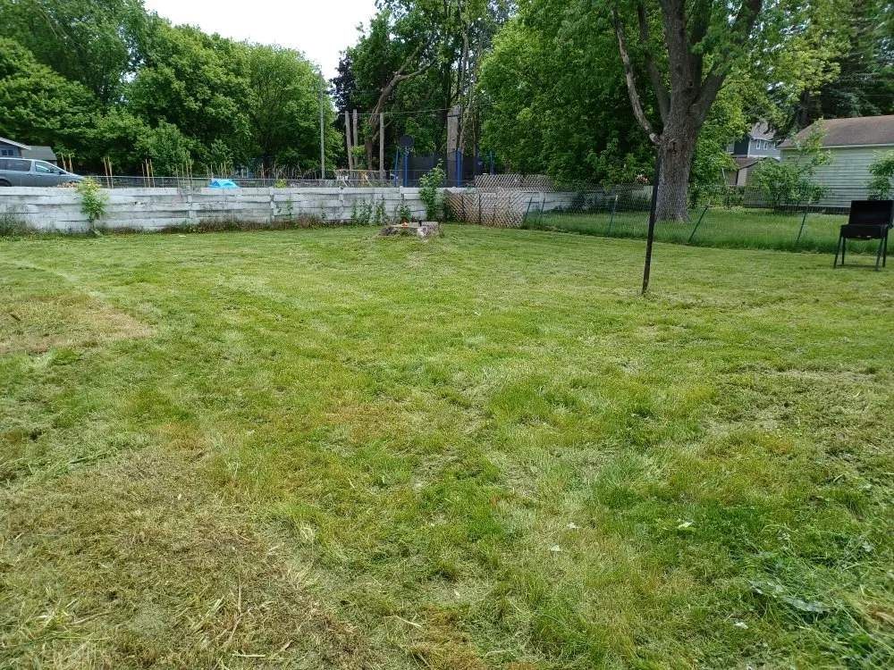 Trusted outdoor landscaping experts serving Green Bay, WI - Collins Landscaping