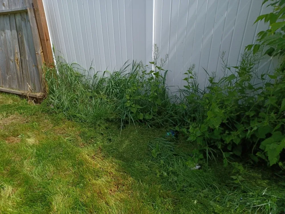 Local lawn mowing service in Green Bay, WI by Collins Landscaping