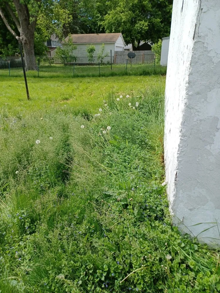 Affordable landscaping services experts serving Green Bay, WI - Collins Landscaping