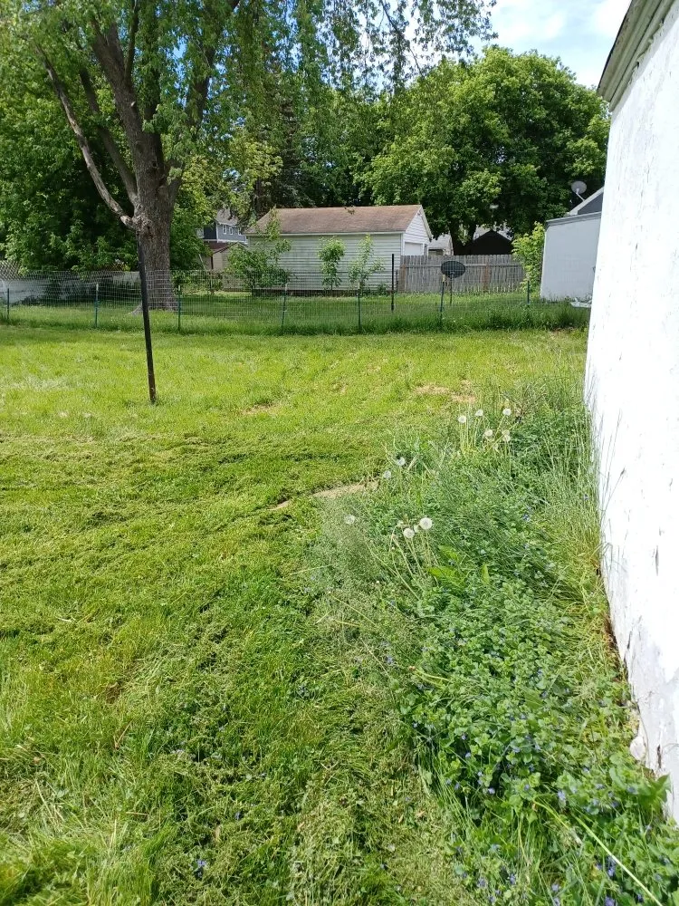 Professional yard cleanup service in Green Bay, WI - Collins Landscaping