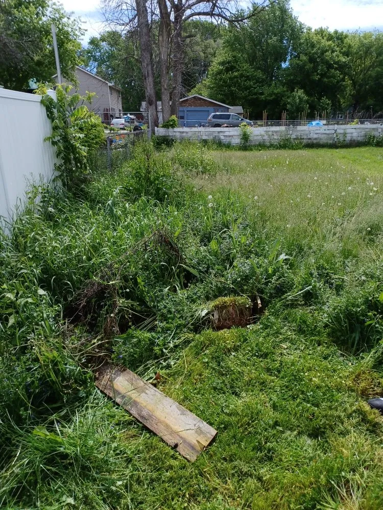 Expert residential landscaping for residential properties in Green Bay, WI by Collins Landscaping