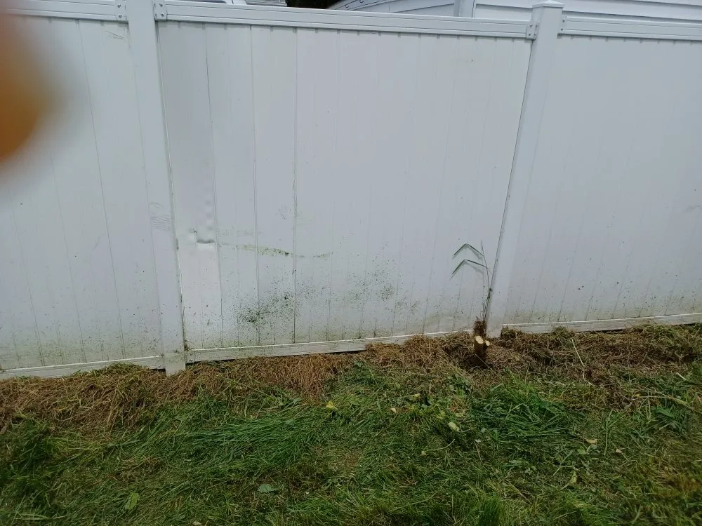 Trusted yard maintenance experts serving Green Bay, WI - Collins Landscaping