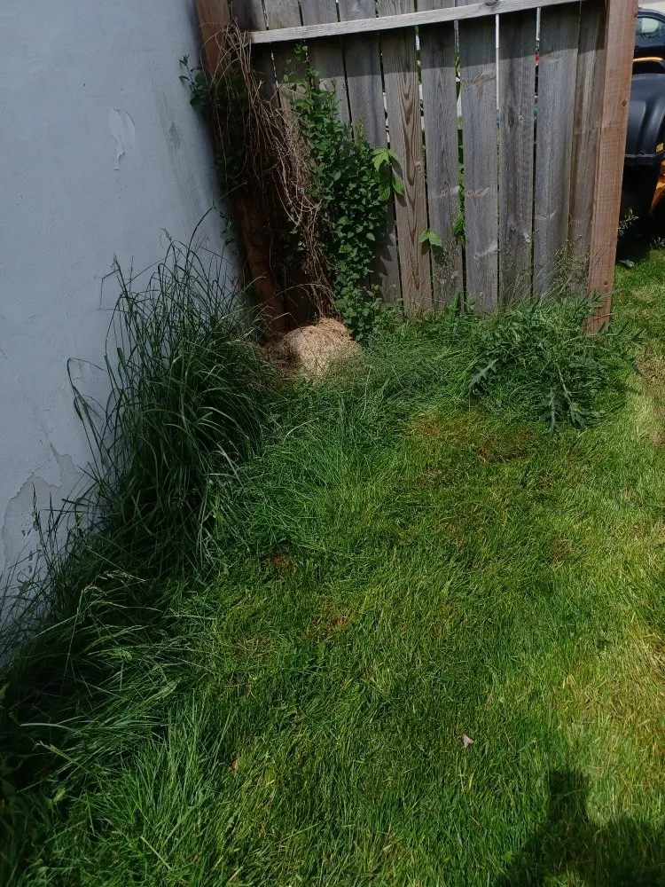 Affordable residential landscaping for outdoor upgrades in Green Bay, WI by Collins Landscaping