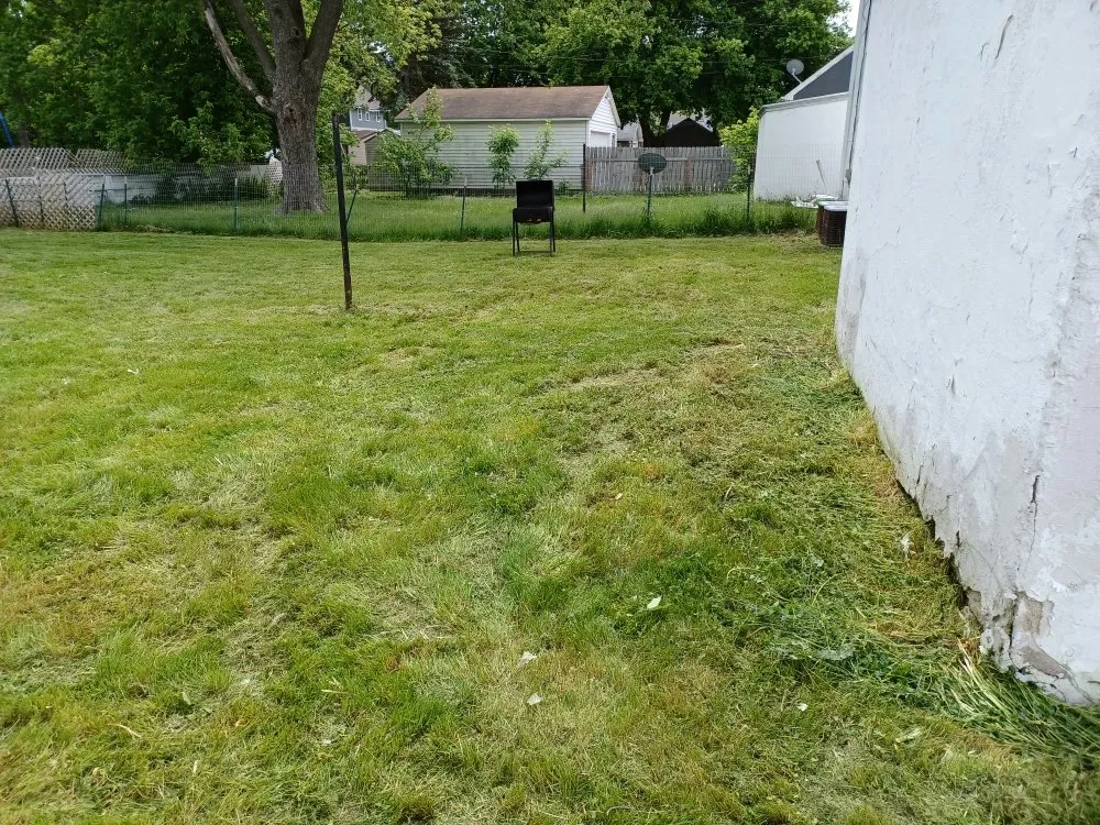 Reliable yard cleanup service experts serving Green Bay, WI - Collins Landscaping