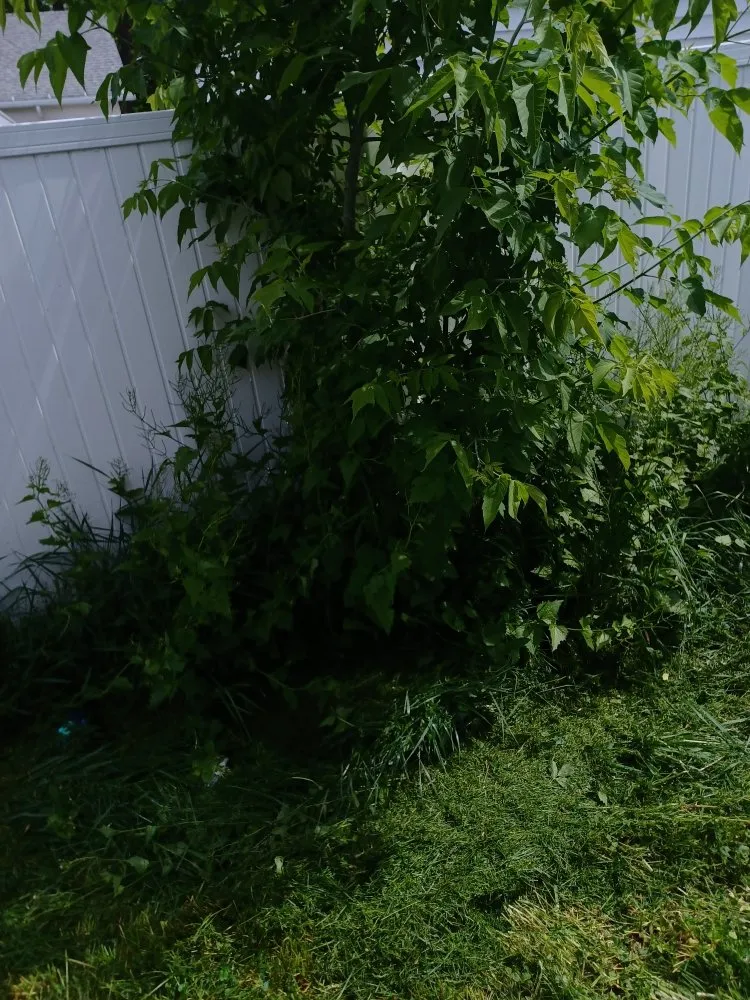 Professional outdoor landscaping in Green Bay, WI by Collins Landscaping