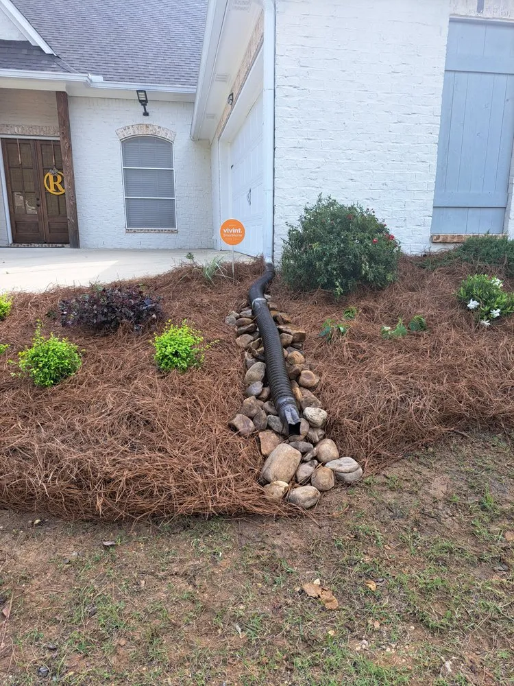 Reliable yard cleanup service for year-round maintenance in Jackson, MS by Collins Landscaping