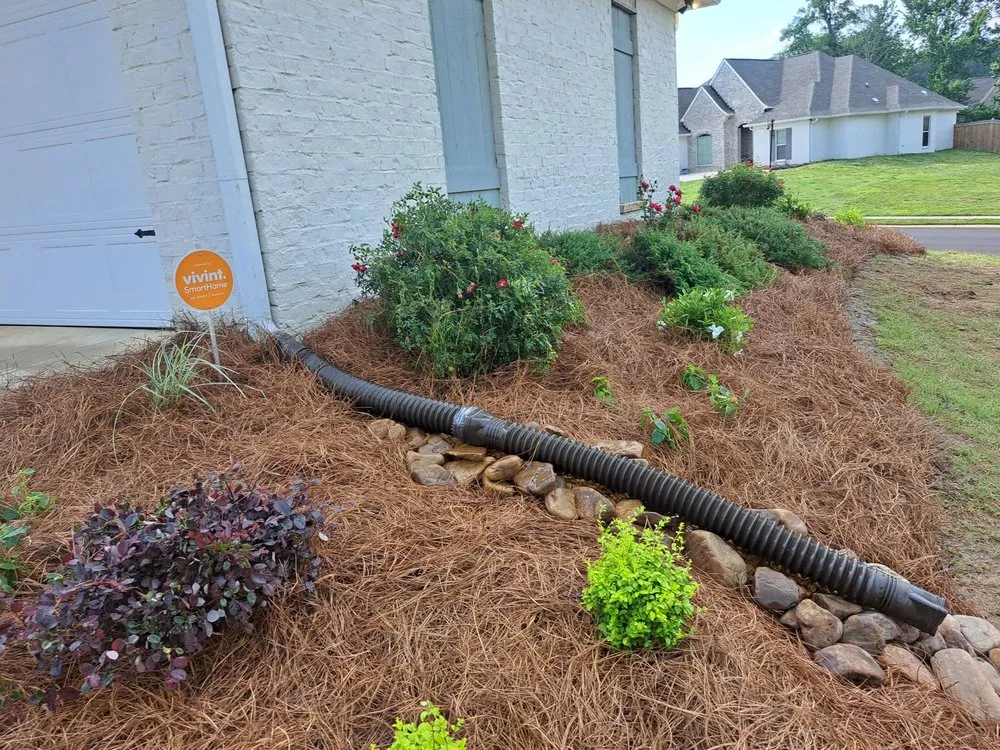 Reliable landscape installation experts serving Jackson, MS - Collins Landscaping