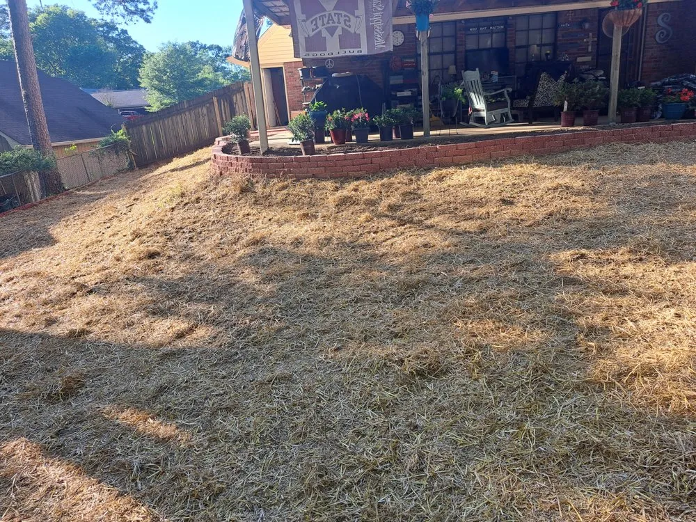 Expert landscaping services in Jackson, MS by Collins Landscaping