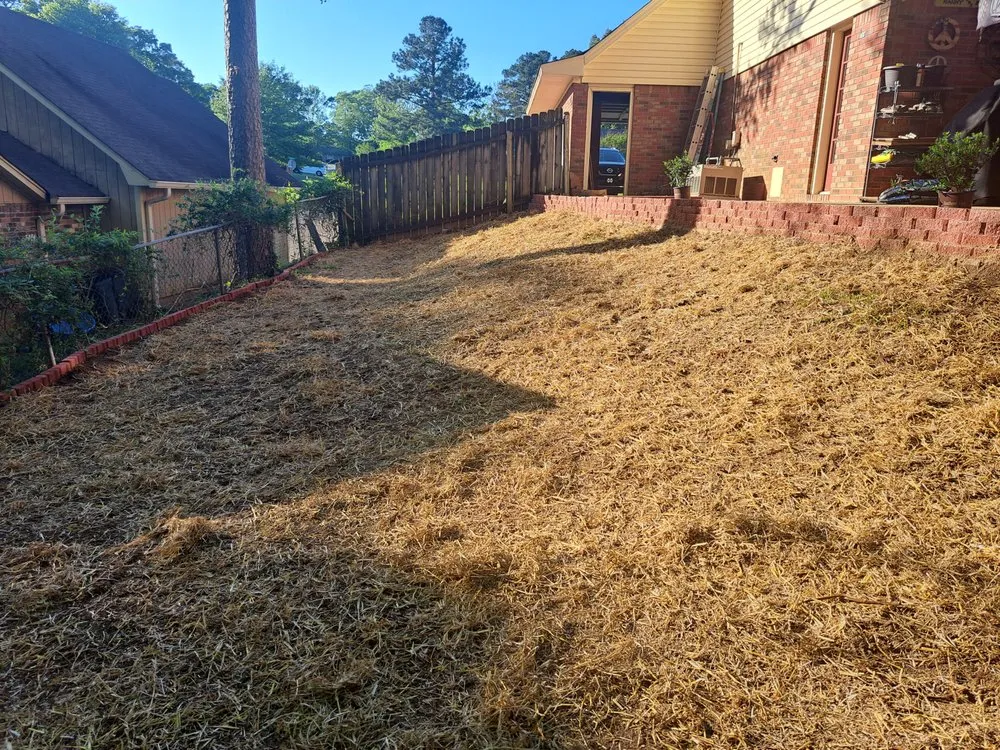 Affordable lawn care service with custom design across Jackson, MS - Collins Landscaping