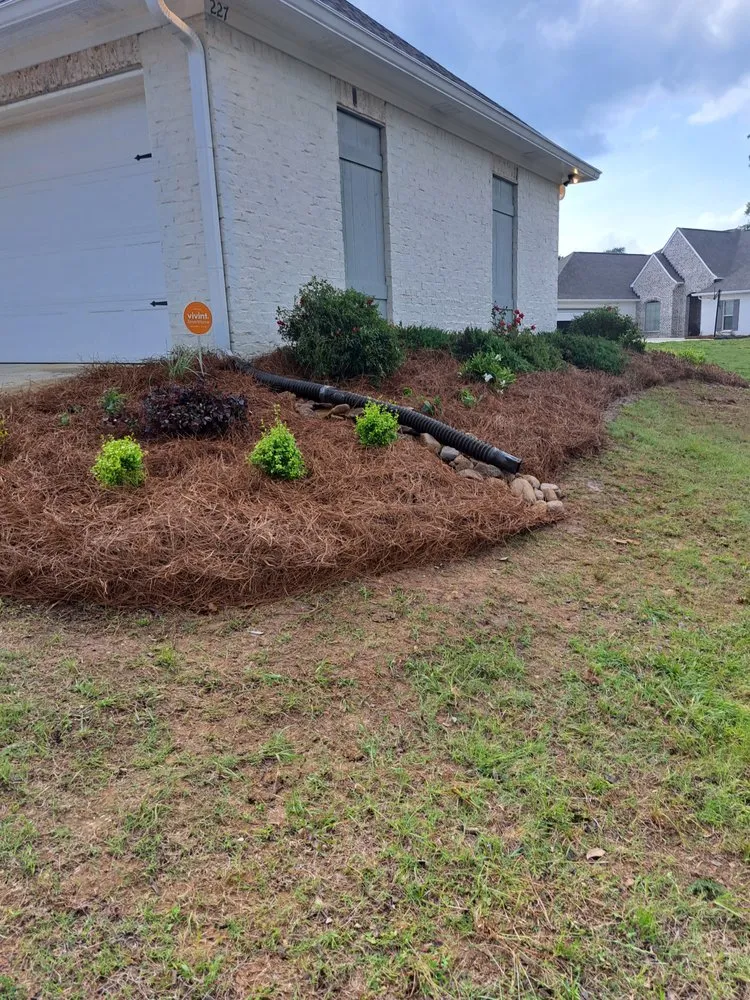 Professional residential landscaping in Jackson, MS by Collins Landscaping