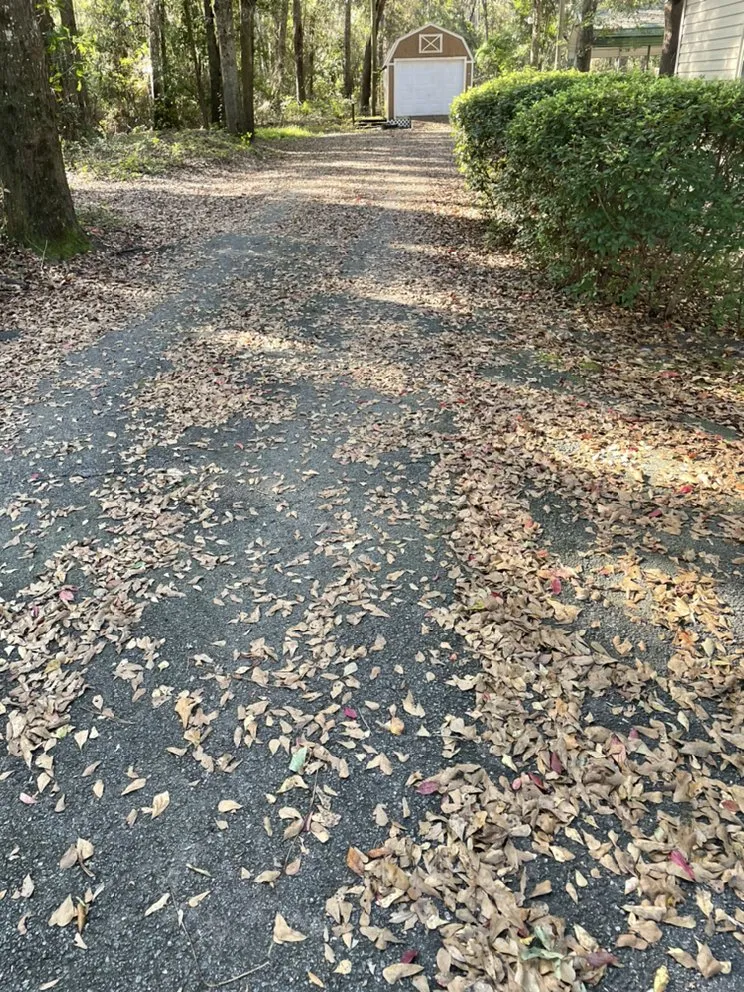 Affordable residential landscaping for homes in Walthourville, GA by Collins Lawn and Landscaping