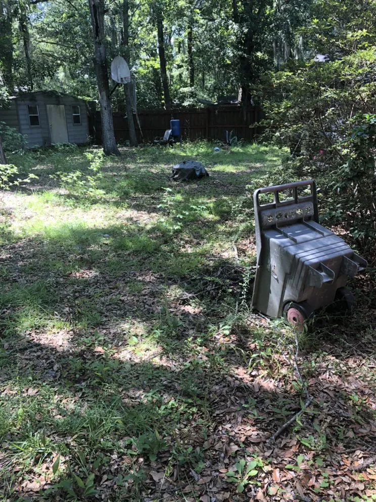 Local garden landscaping near you across Walthourville, GA - Collins Lawn and Landscaping