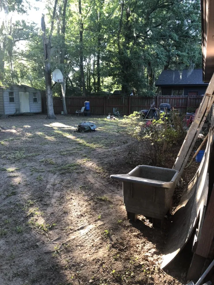 Top-rated yard cleanup service in Walthourville, GA by Collins Lawn and Landscaping