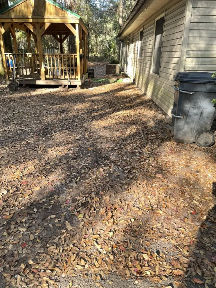 Top-rated lawn mowing service in Walthourville, GA by Collins Lawn and Landscaping