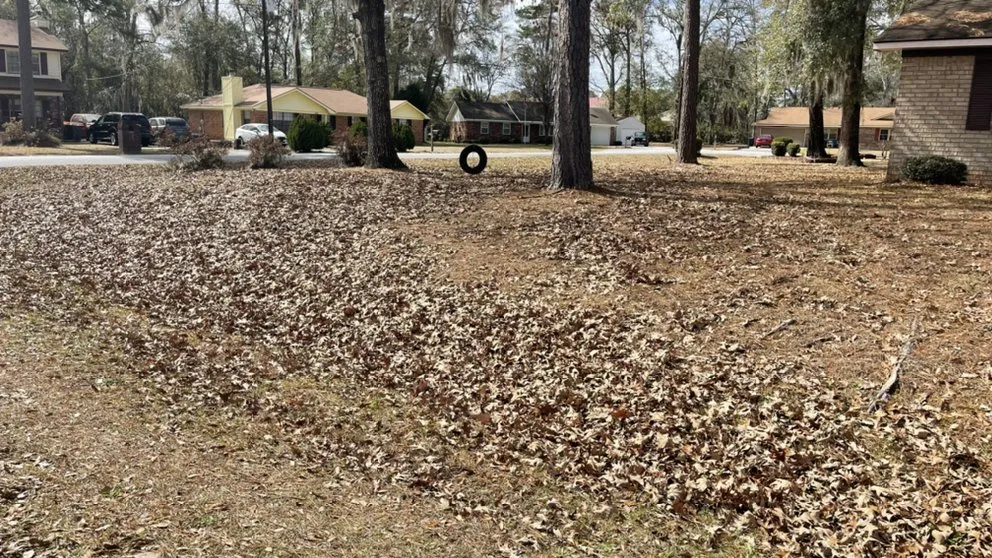 Custom landscaping services in Walthourville, GA - Collins Lawn and Landscaping