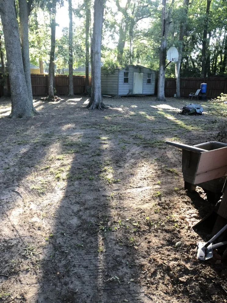 Professional landscaping services near you in Walthourville, GA by Collins Lawn and Landscaping