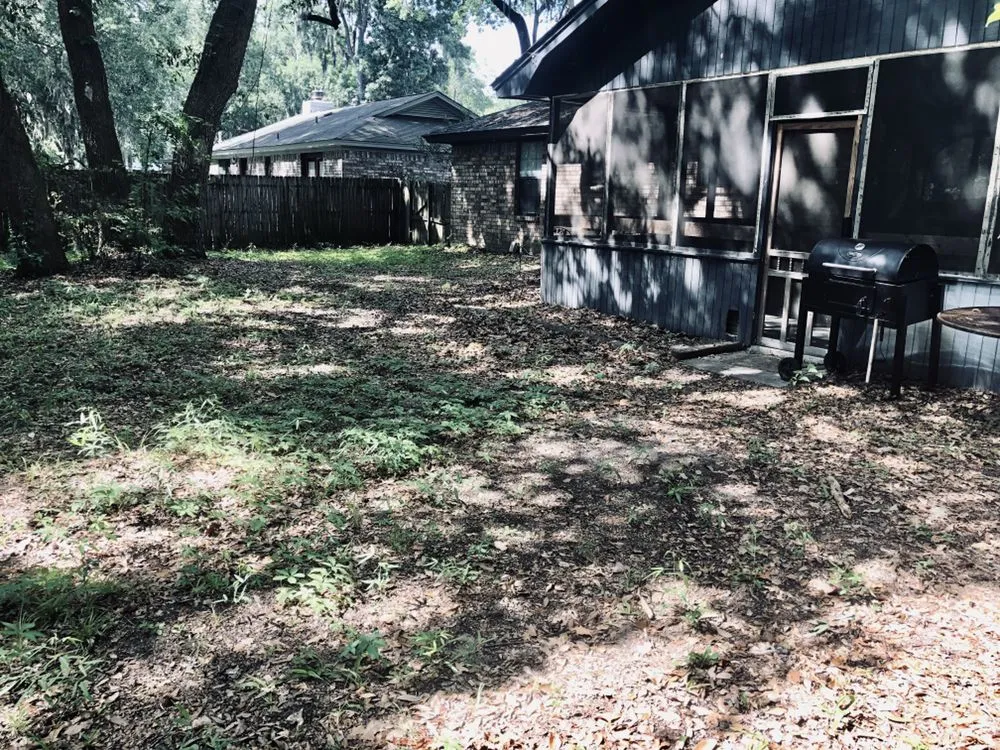 Trusted landscaping services for outdoor upgrades across Walthourville, GA - Collins Lawn and Landscaping