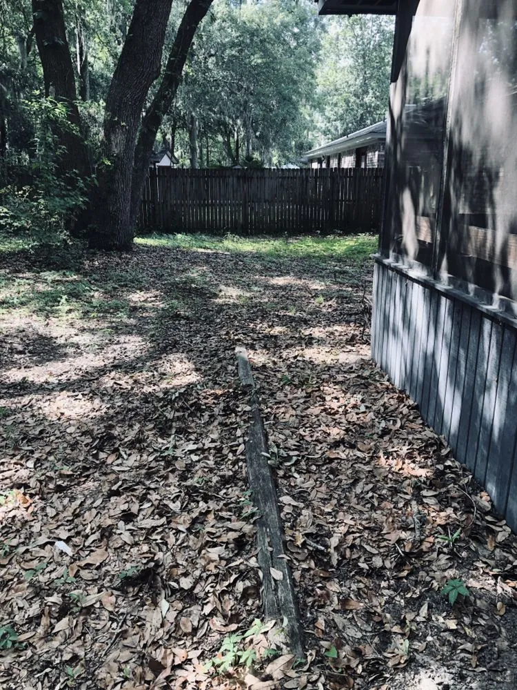 Local landscape design experts serving Walthourville, GA - Collins Lawn and Landscaping