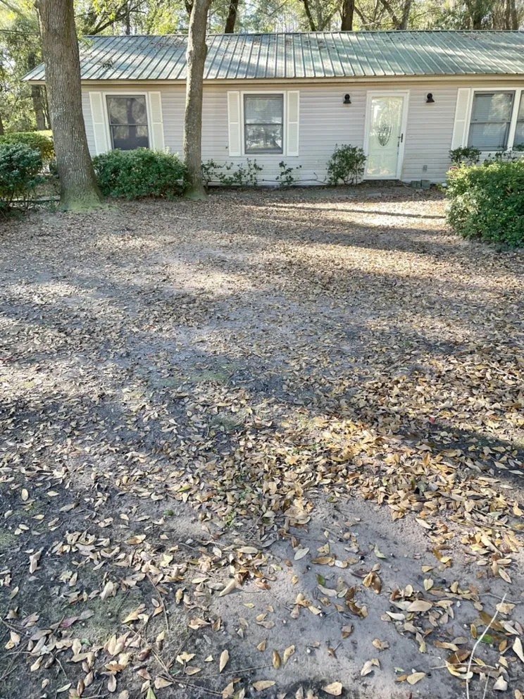 Expert landscape installation in Walthourville, GA - Collins Lawn and Landscaping