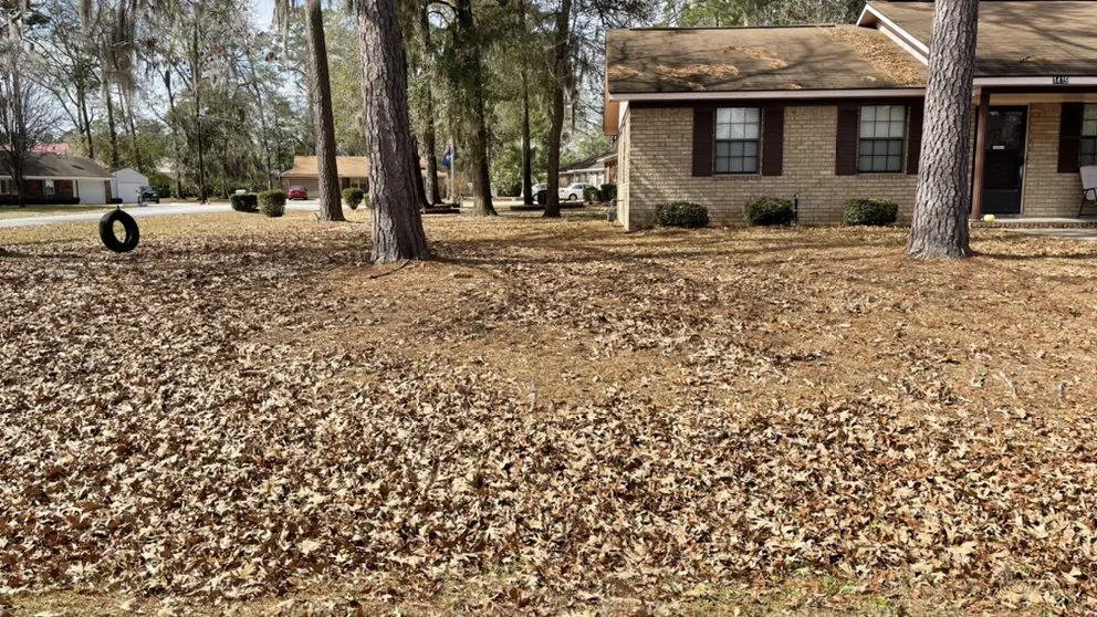 Top-rated residential landscaping in Walthourville, GA - Collins Lawn and Landscaping