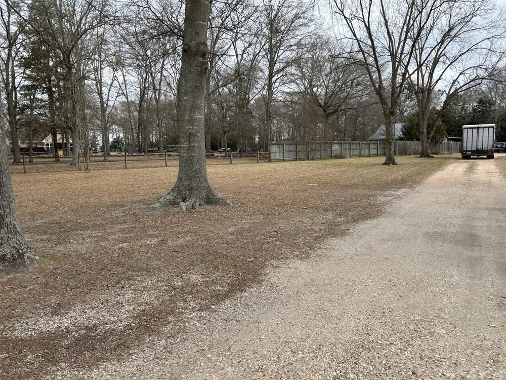 Reliable yard maintenance near you across Milledgeville, GA - Collins Lawn Care