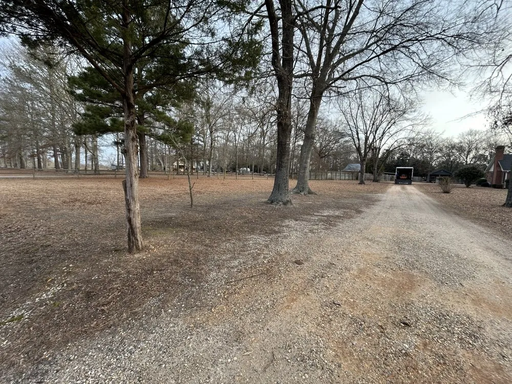 Professional yard maintenance experts serving Milledgeville, GA - Collins Lawn Care