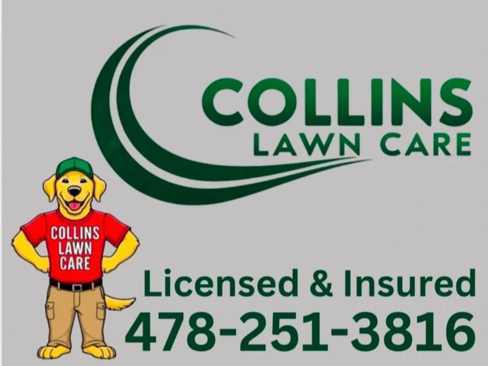 Reliable landscape installation in Milledgeville, GA by Collins Lawn Care
