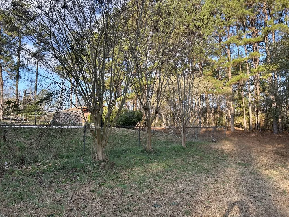 Professional yard cleanup service experts serving Milledgeville, GA - Collins Lawn Care