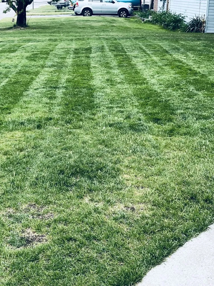 Reliable lawn care service for year-round maintenance in Spokane Valley, WA by Collins Lawn Care