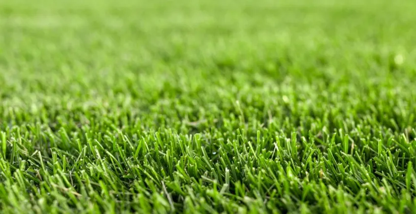 Custom yard cleanup service experts serving Spokane Valley, WA - Collins Lawn Care