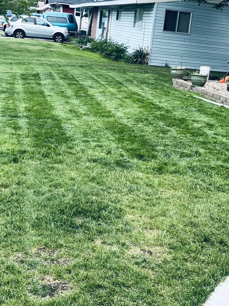 Trusted residential landscaping experts serving Spokane Valley, WA - Collins Lawn Care