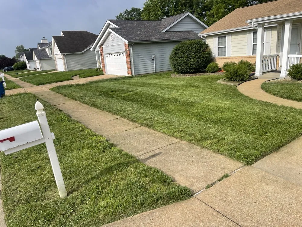 Affordable landscaping services experts serving St. Louis, MO - Collins Lawn Care