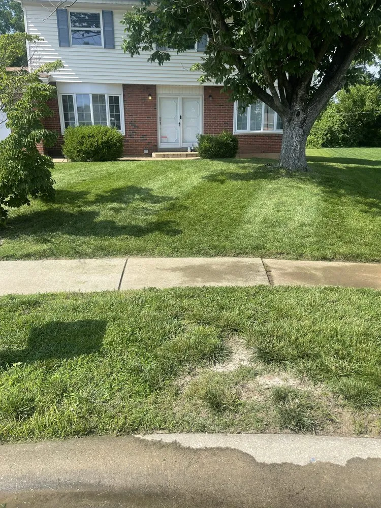 Trusted outdoor landscaping in St. Louis, MO - Collins Lawn Care