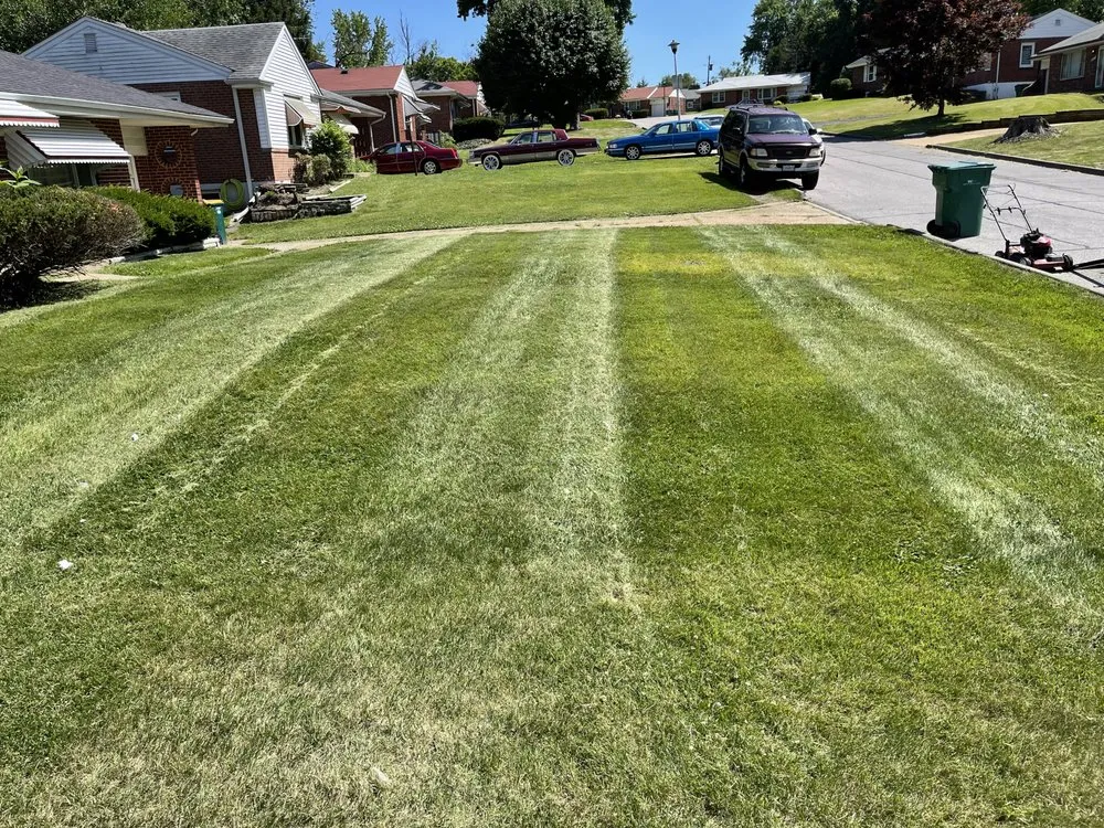 Top-rated lawn mowing service with custom design across St. Louis, MO - Collins Lawn Care