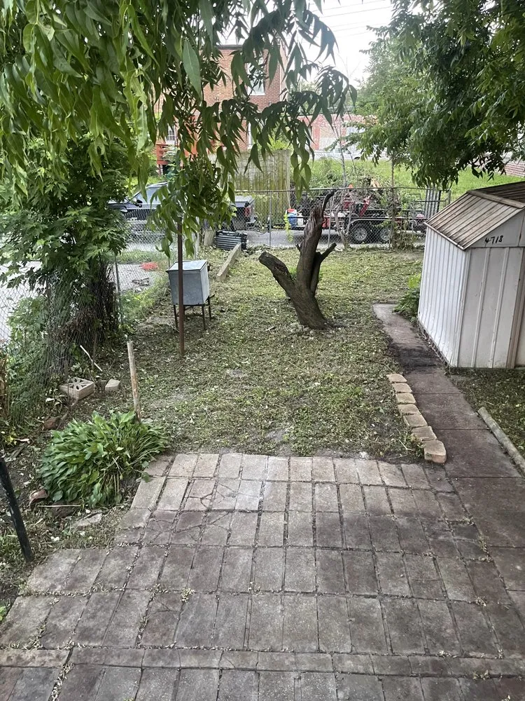 Reliable lawn mowing service near you in St. Louis, MO by Collins Lawn Care