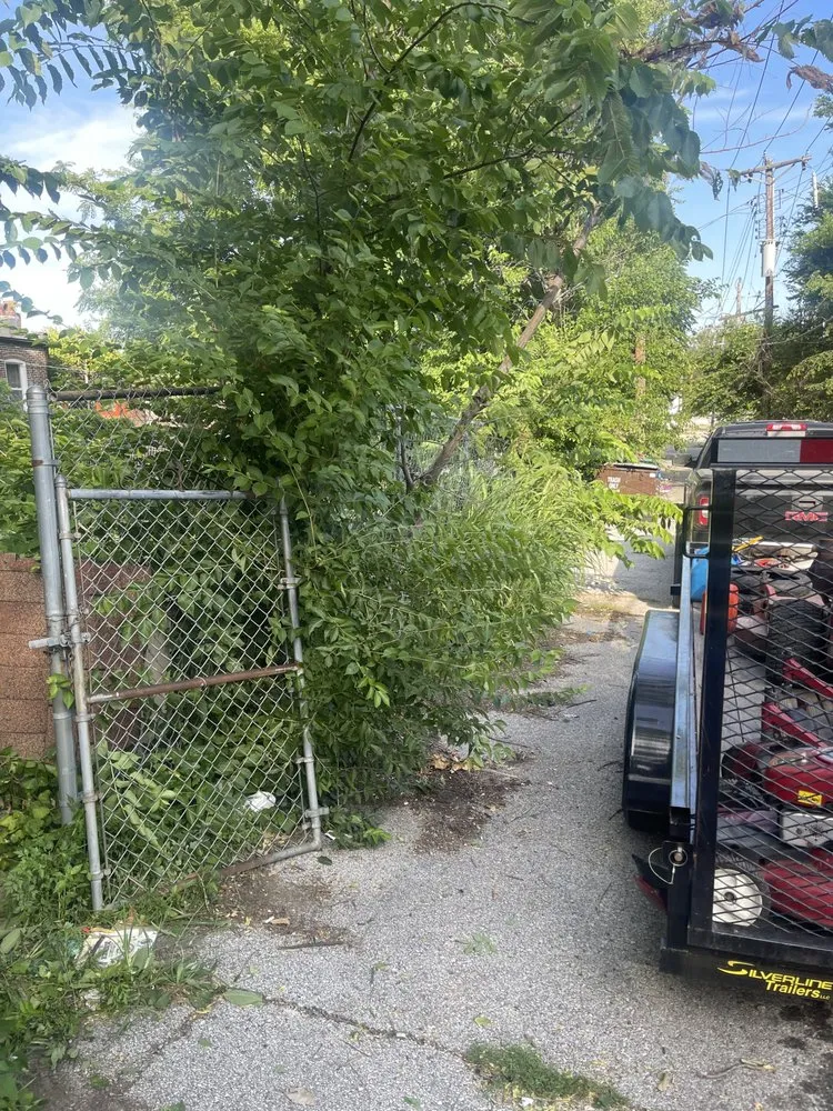 Custom lawn mowing service experts serving St. Louis, MO - Collins Lawn Care