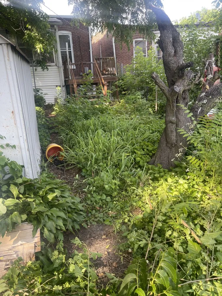 Reliable landscape installation in St. Louis, MO by Collins Lawn Care