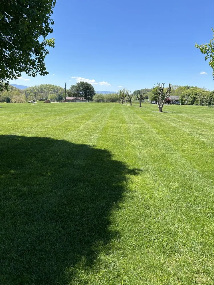 Trusted yard cleanup service in Bristol, VA by Collins Lawn Rangers