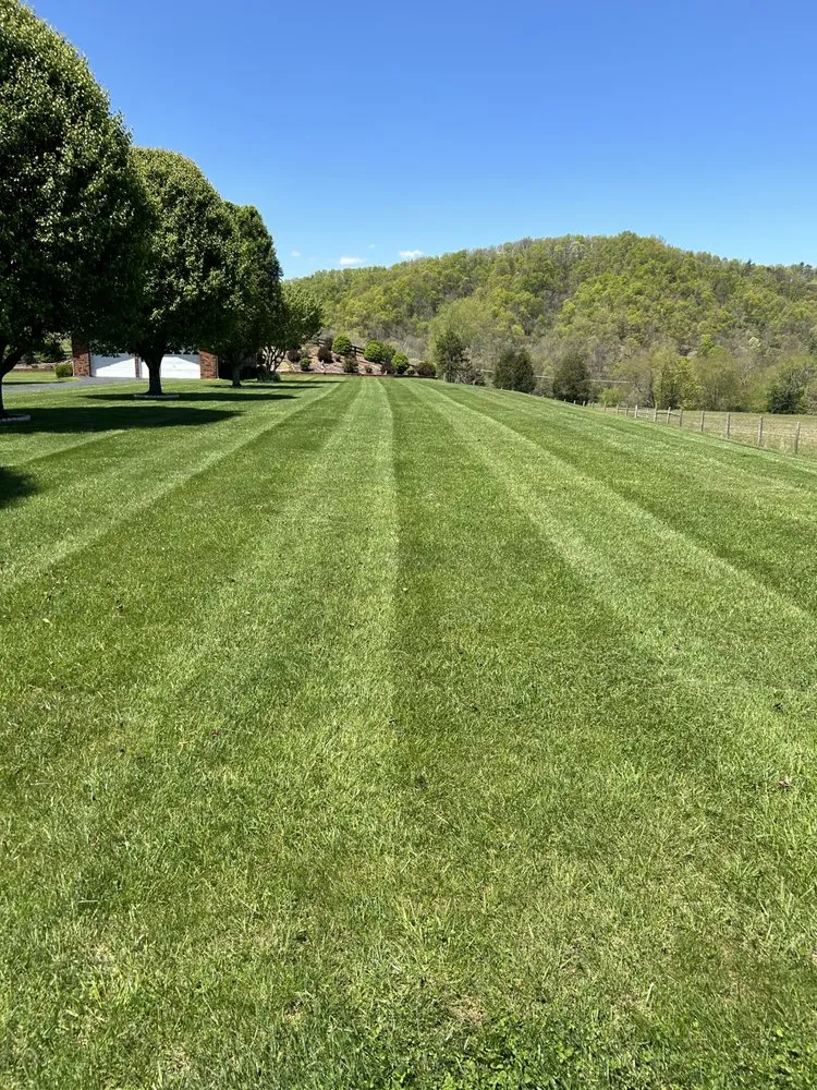 Professional landscape design in Bristol, VA by Collins Lawn Rangers