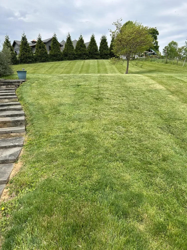 Top-rated yard maintenance experts serving Bristol, VA - Collins Lawn Rangers