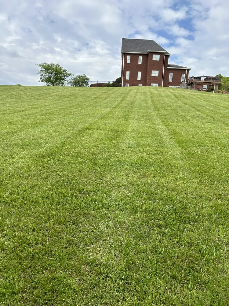 Expert garden landscaping for outdoor upgrades across Bristol, VA - Collins Lawn Rangers