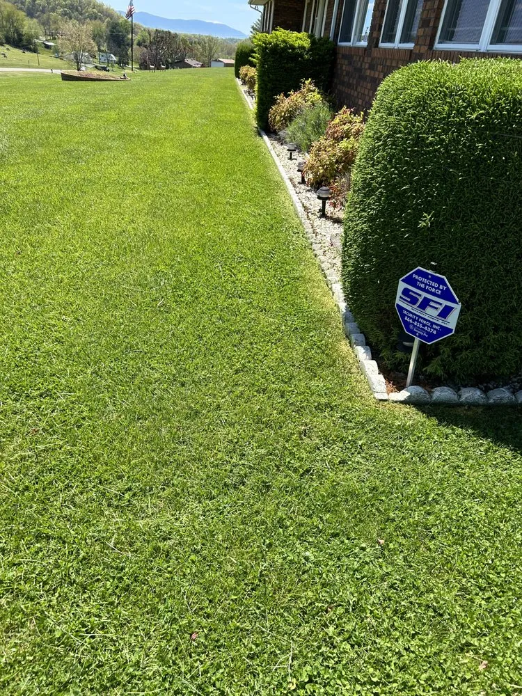 Professional landscaping services experts serving Bristol, VA - Collins Lawn Rangers