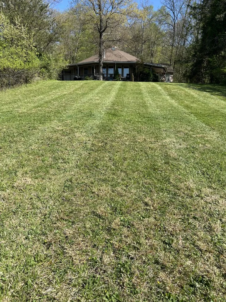 Affordable residential landscaping experts serving Bristol, VA - Collins Lawn Rangers