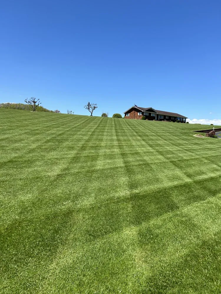 Local yard cleanup service in Bristol, VA - Collins Lawn Rangers